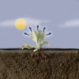 Kép 4/5 - Nortene Terrafilm univerzális talajtakaró fólia, 1.4x10m