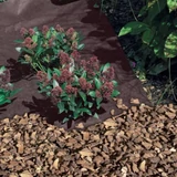 Kép 2/4 - Nortene Antiherbas Geotex PP talajtakaró, barna, 80g/m2, 1.6x5m
