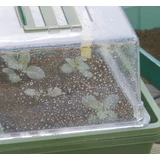 Kép 2/5 - Nortene Heating Grow fűthető mini üvegház, 39x25x20cm
