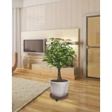 Kép 2/4 - Nortene FLORA ROLL ALU fém gurulós virágalátét, 0,30