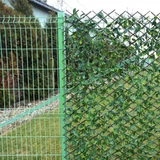 Kép 2/3 - Babérleveles műsövény, apácarács 2m2