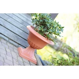 Kép 2/2 - Prosperplast Atena Gazon virágcserép, műanyag, 556x552mm