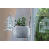 Kép 2/2 - Prosperplast Beton Bowl WS kaspó, műanyag, függő, 238x161mm, szürke