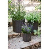 Kép 3/5 - Keter Cylinder Planters műrattan virágcserép szett, szürke, 3db