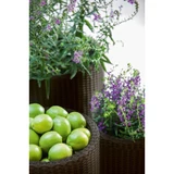 Kép 4/5 - Keter Cylinder Planters műrattan virágcserép szett, szürke, 3db