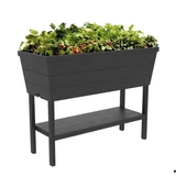 Kép 1/2 - Keter Urban Bloomer magaságyás XL