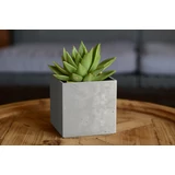 Kép 2/2 - Keter Beton Cube virágcserép, ültetőláda, 11.5cm