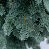 Kép 9/10 - Silver Slim Pine Műfenyő, 180 cm
