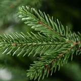 Kép 3/4 - Evergreen műfenyő, rövid tűlevelű, 482 ág, 150cm