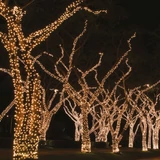 Kép 1/2 - Jégszikrázó fényfüzér, meleg fehér, fekete kábel, 50LED, 5m