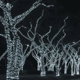 Kép 1/2 - Kontakt jégszikrázó fényfüzér, hideg fehér, fekete kábel, 50LED, 5m