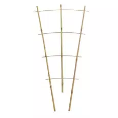 Chomik növénytámasz, bambusz, 60cm