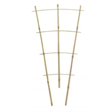 Chomik növénytámasz, bambusz, 60cm