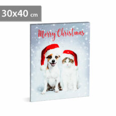 Family Christmas LED-es hangulatkép, kutya, macska, 2xAA, 30x40cm