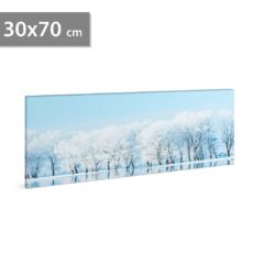 Family Decor LED-es fali kép, téli táj, 30 hidegfehér LED, 2xAA, 70x30cm