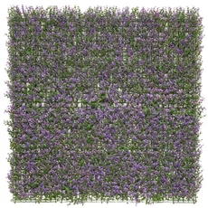 Nortene Vertical Lavanda zöldfal levendulával, 1x1m