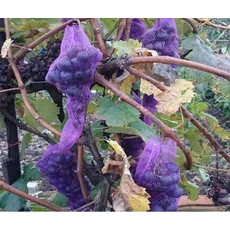 Nortene darázs elleni védőháló, 50db