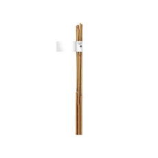 Nortene Bamboo bambusz termesztő karó, natúr fa, 6-8mm, 0.6m Nortene Bamboo bambusz termesztő karó, natúr fa, 6-8mm, 0.6m