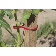 Nortene Tomatoclip növénykapocs, piros, 6.2cm, 25db