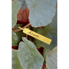 Nortene Tree Label függő címke, sárga, 9.5x1.5cm