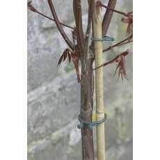 Nortene Vegring növénykapocs szett, 1.65cm, 40db