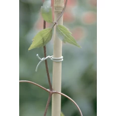 Nortene R-Fix kötöző futó növények rögzítéséhez, 50m