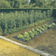 Nortene Terrafilm univerzális talajtakaró fólia, 1.4x10m Nortene Terrafilm univerzális talajtakaró fólia, 1.4x10m