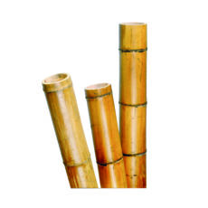 Nature Bambusz növénytámasz, 40-55mm, 270cm