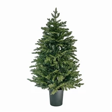 Lucfenyő Premium Műfenyő, 120 cm