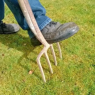 Ezeket szerezd be, mielőtt kertépítésbe kezdesz