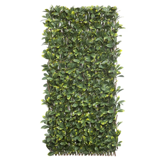 Nortene Willgreen fűzfa apácarács díszlevelekkel, 1x2m