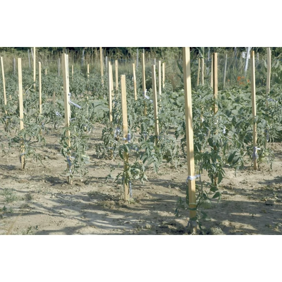 Nortene Acacia akáckaró, 1.5m