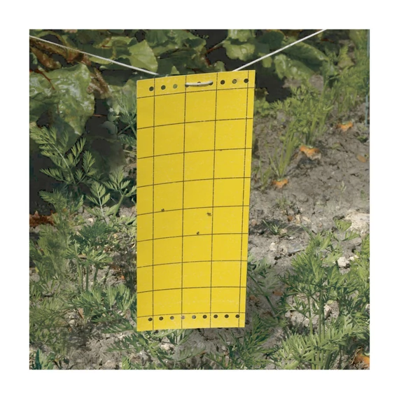Nortene Glued Panel ragasztós rovarcsapda, 10x24cm, 5db