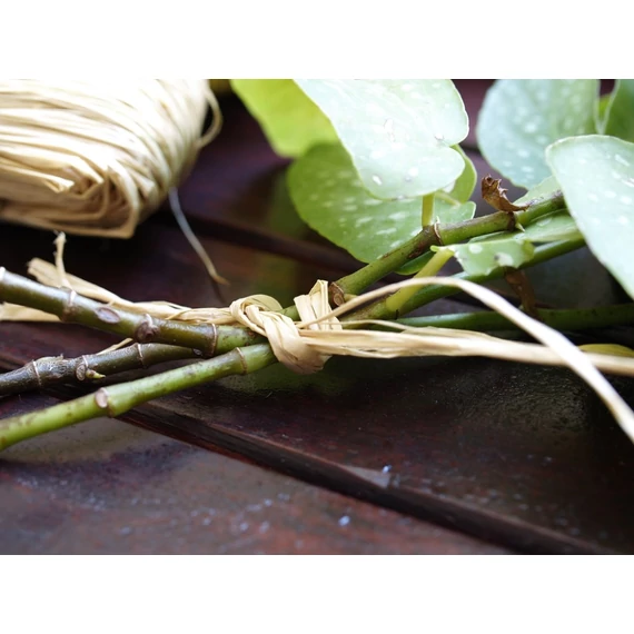Nortene Raphia raffia kötöző, natúr, 75cm
