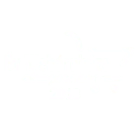 Az év webáruháza